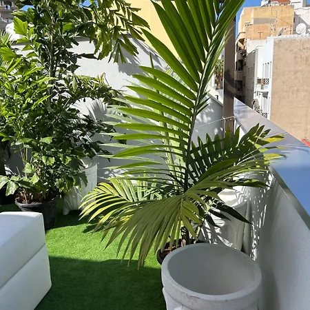Lejlighed Atico Con Gran Terraza *